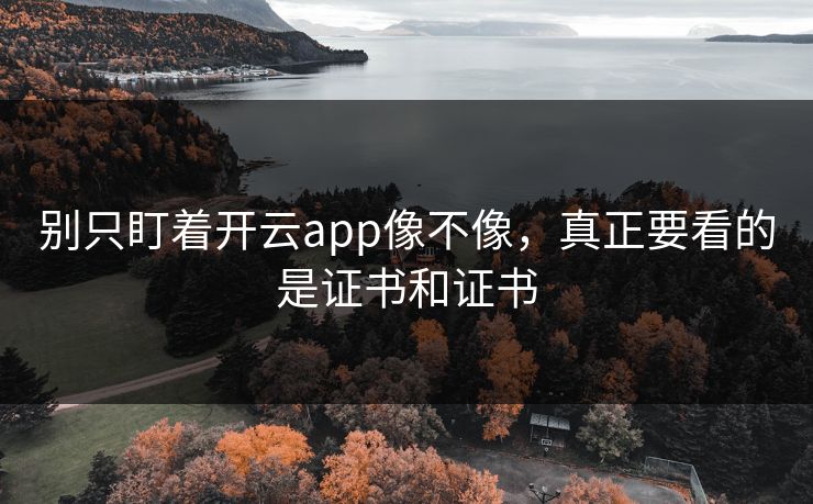 别只盯着开云app像不像，真正要看的是证书和证书